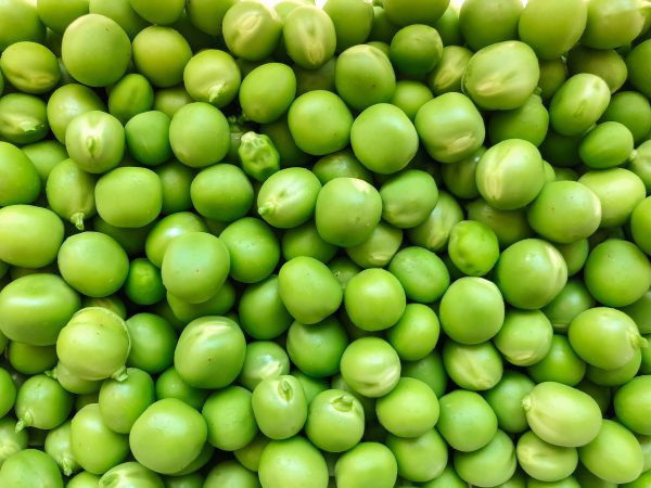 Green Mung