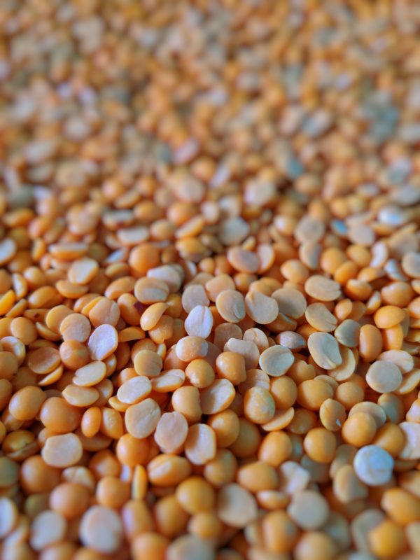 Red Split Lentils
